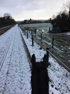 Snow-gallops