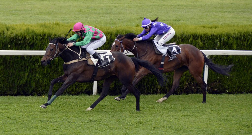 Champion Stakes: Betting Preview